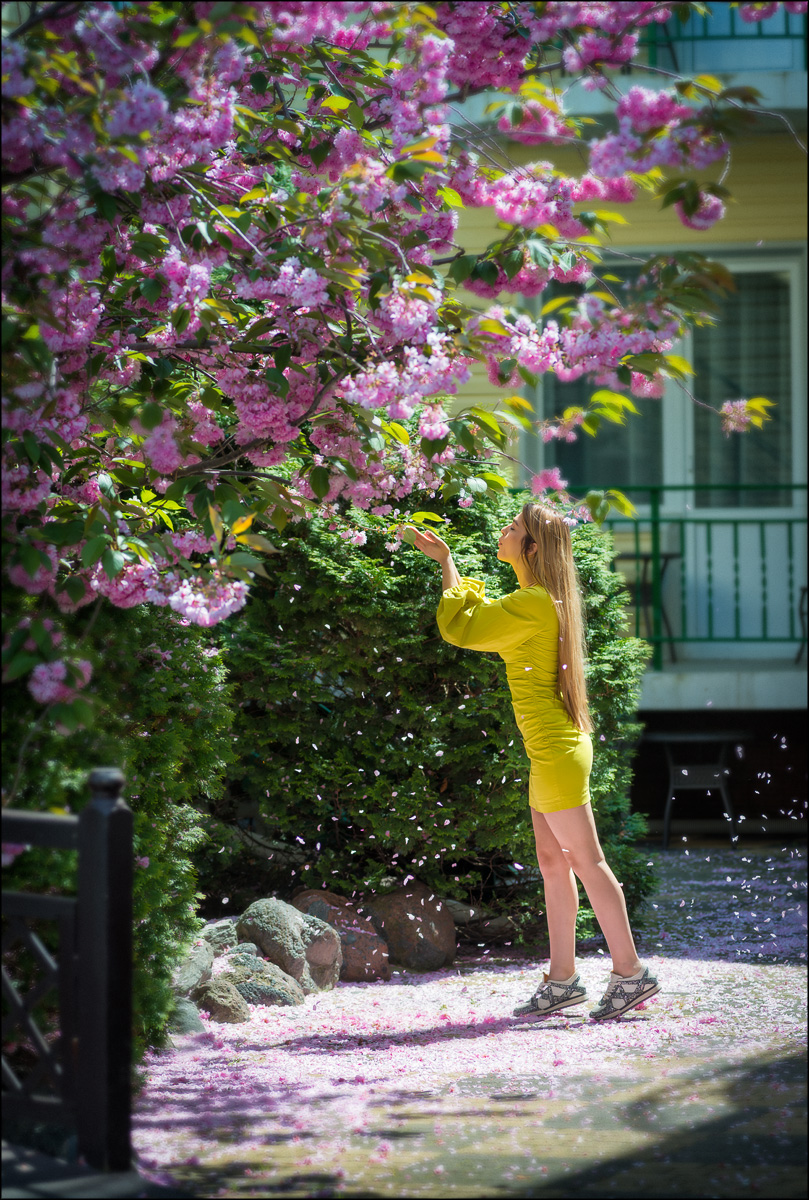 Фото: Астория